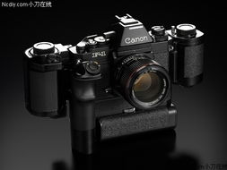 单镜头反光数码相机完全入门手册